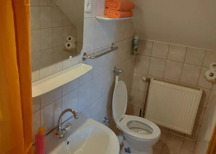 Гостевой дом Herkules Panzio